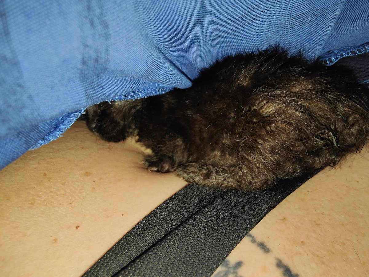 May 🌼🌹 tweet media