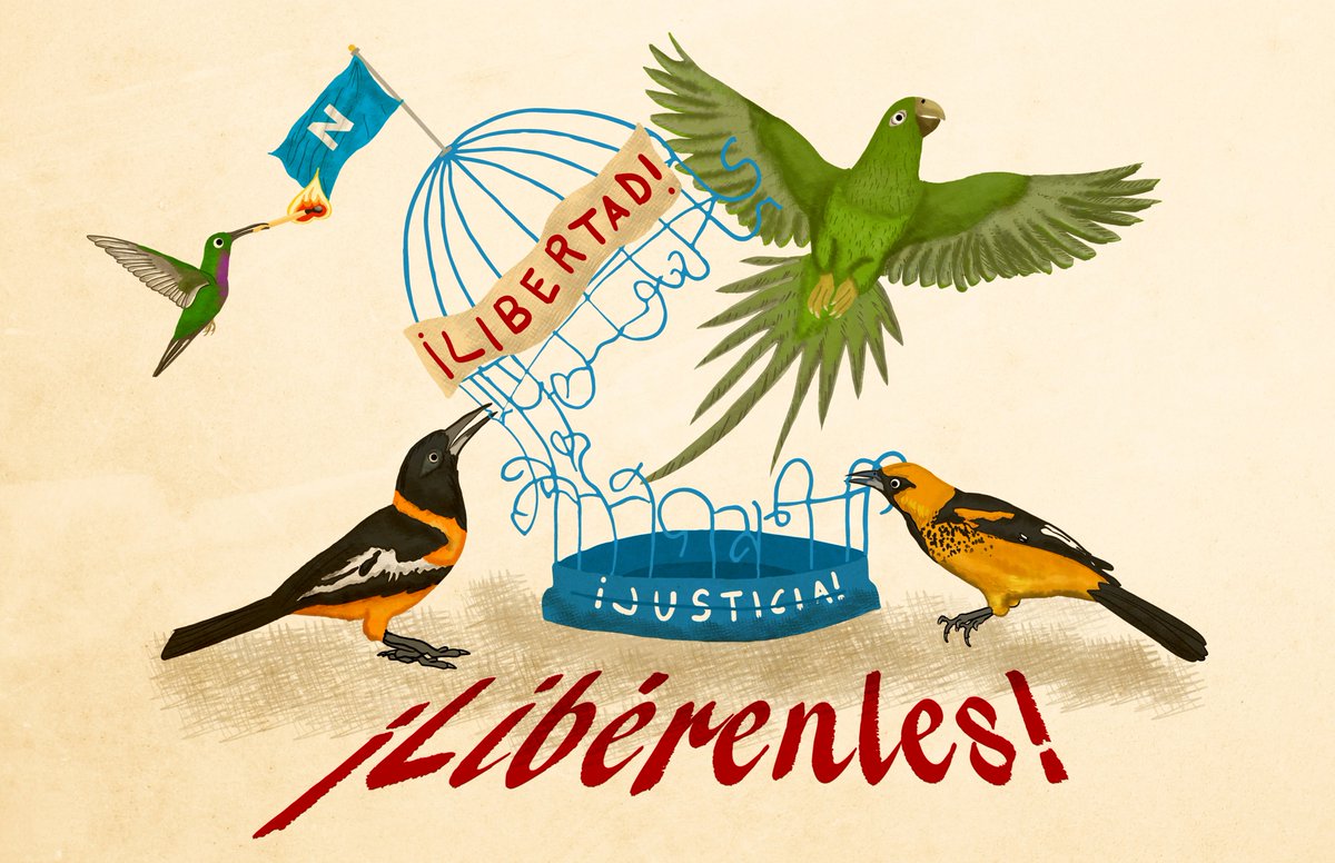 DichosdeunBicho's tweet photo. Dedicated to the 80,000+ Salvadoran citizens who have been wrongfully arrested without due process, and deprived of their liberty since the onset of the State of Exception in March 2022.  Set them free! https://t.co/ynJHoqinsr