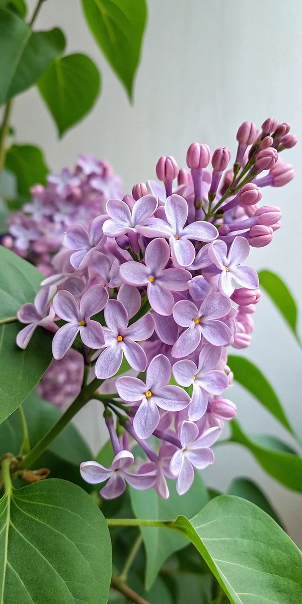 Raşit Keskin tweet media