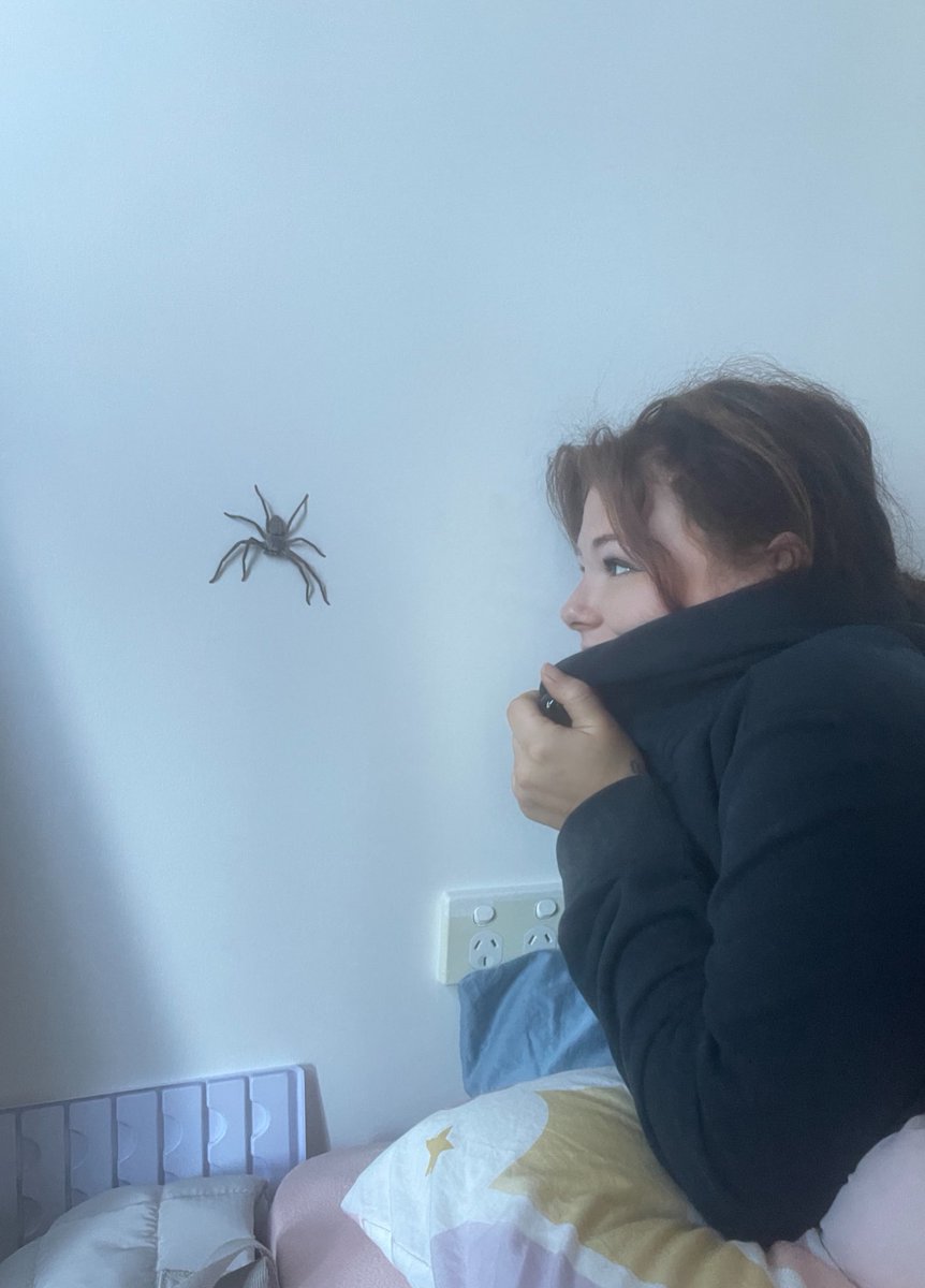 onlyMilly333's tweet photo. Tell me you live in Australia without telling me you live in Australia 

Here's mine : https://t.co/qlcggtOfun