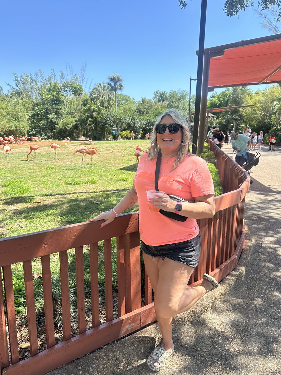 TheNameGame tweet media