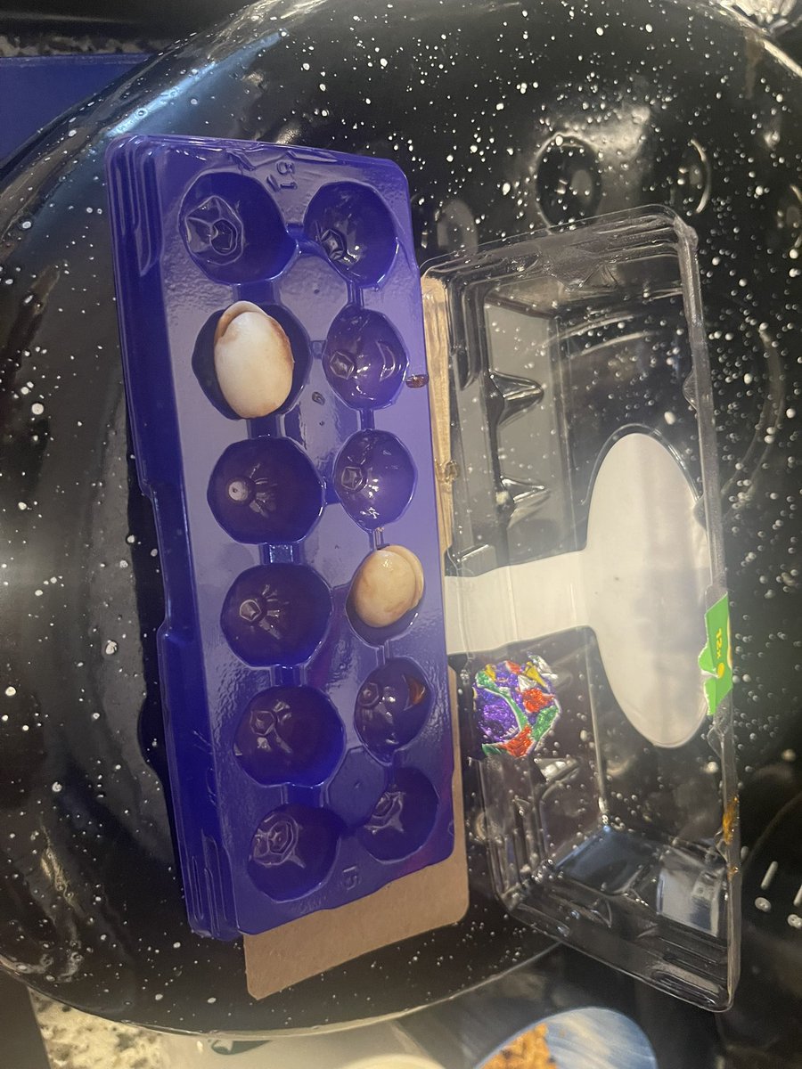 zaaaaaacck's tweet photo. @CadburyUK what is this in my Cadbury eggs https://t.co/Nn1GMI5JwM