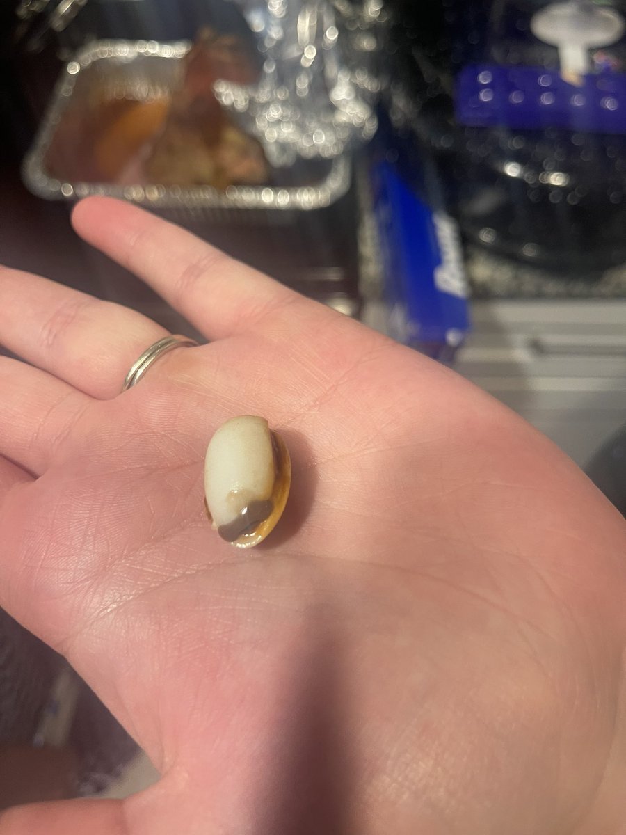 zaaaaaacck's tweet photo. @CadburyUK what is this in my Cadbury eggs https://t.co/Nn1GMI5JwM