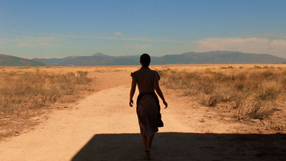 webbiapina's tweet image. If You realize that some movies are horror movies disguised as fantasy or drama, you get to see it another time with different attitude.
Tideland is one and Cabaret also.
youtube.com/watch?v=BcLUC7…
Talk to me is latest favourite shocker.
Bubbling under #DevilsBackbone