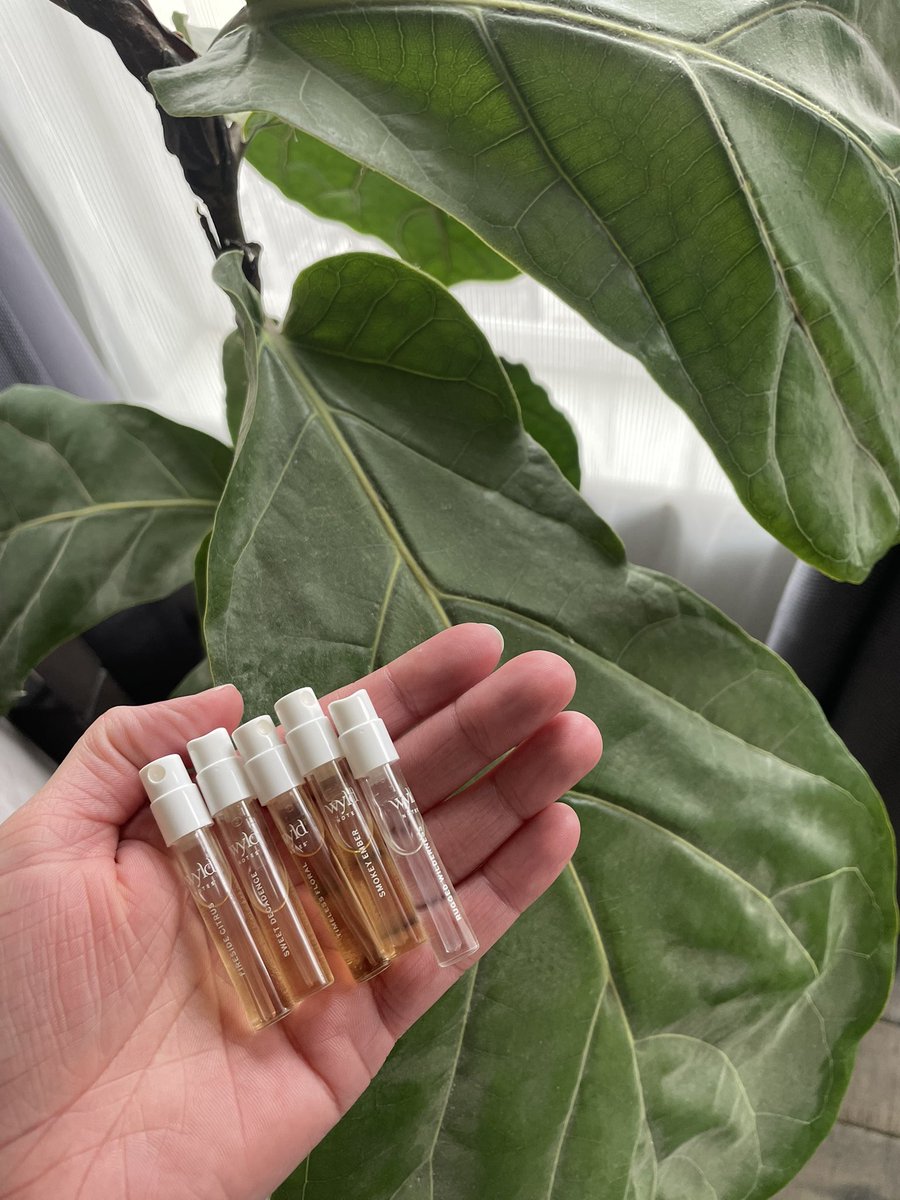 chizang12's tweet photo. 🌿 Why settle for "clean" when you can have truly pure? At Wyld Notes, we don’t just talk transparency—we live it. 💚
Feel the difference. Smell the truth.
Are you ready to make the change?
Quiz and discount code in the comments 👇
✨ #WyldNotes #TrueClean #FineFragrance https://t.co/Hvsj7c4Y4T