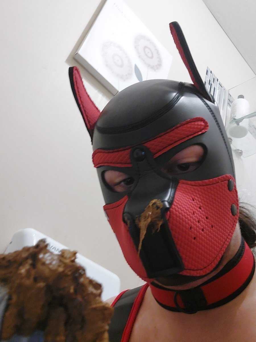 That smells so nasty
#scat #gayscat #puppy #puppyscat #pig #messy #poop