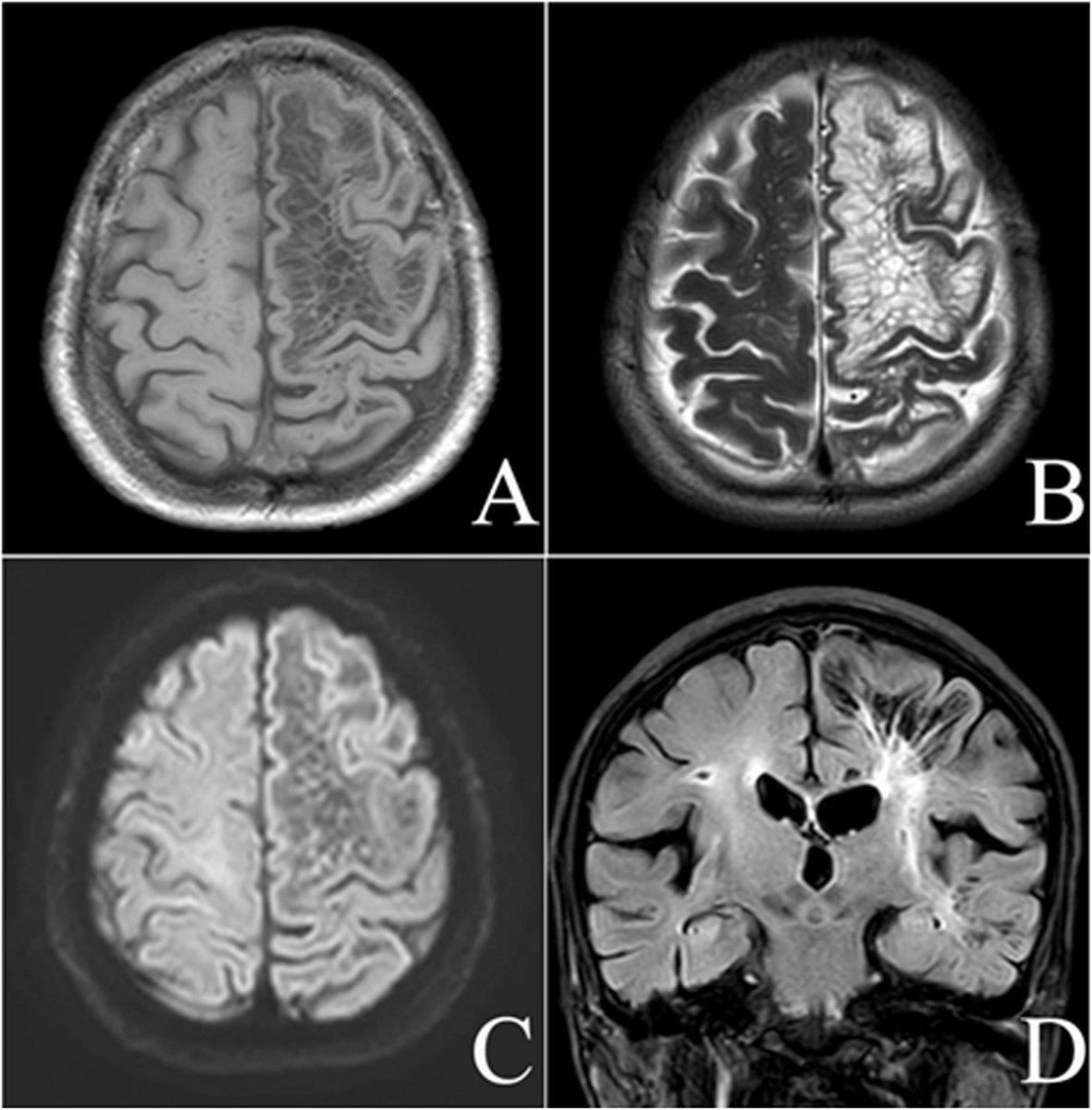 Doc Navarrow tweet media