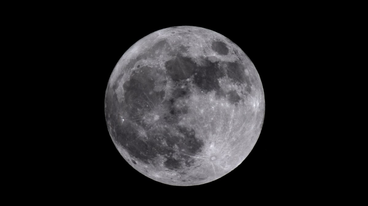 Kristóf Lovas (@kristoflovasnew) on Twitter photo 