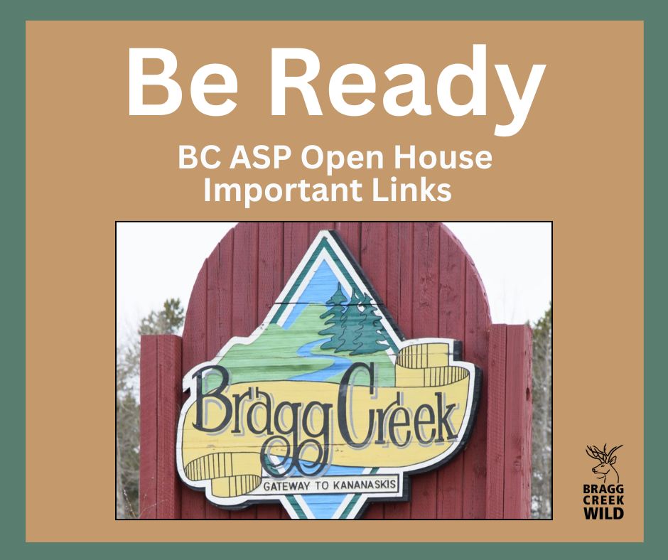 Bragg Creek Wild tweet media