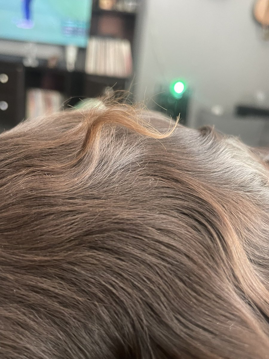 #Masters2025 #boykinspaniel Saturday Afternoon