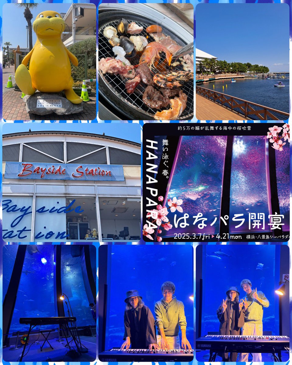Azupiii_a1y0's tweet photo. 八景島シーパラダイス へ🐬🐟🐠
ラジオ盛り上がって楽しかった🙌🙌
水族館でみやけん氏やスロラの曲が流れているのがとっても新鮮で嬉しい気持ちになり、大水槽前でのイワシさん達とのコラボ演奏🦁🎹幻想的で凄く素敵でした😌✨
#RadioWithBlue
#はなパラ
#みやけん さん
#小池隼人 さん https://t.co/3xSHjbEYv8