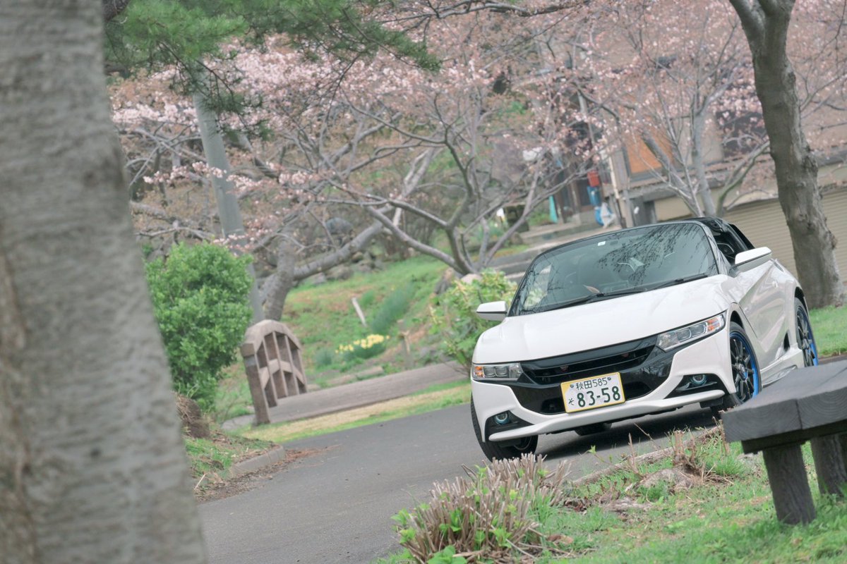 xRabiRabi_takex's tweet photo. #ホンダ乗りと繋がろう2025春
#車乗りとして自己紹介
#S660 #JW5 #NBOXSLASH #JF2
#HONDA好き #ホンダ車好き
名前:ウサ太郎
性別:♂
年齢:22
身長:158
愛車:N-BOXスラッシュ Xターボ S660 α
趣味:カスタム ドライブ 洗車 ゲーム アニメ
冬眠明けしました。しばらくお花見ドライブが続きそうです。 https://t.co/P2CvJQvT6N