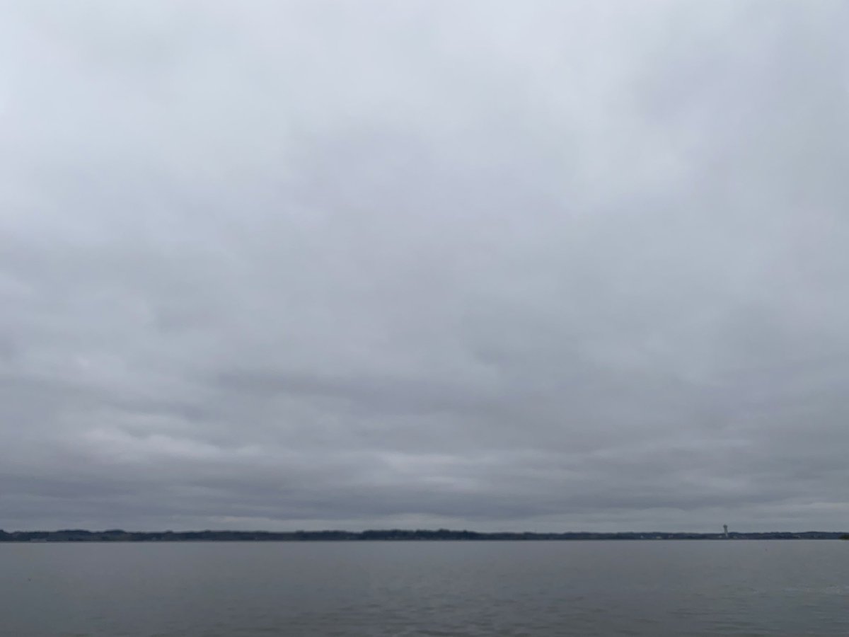 釣り
今朝の霞ヶ浦