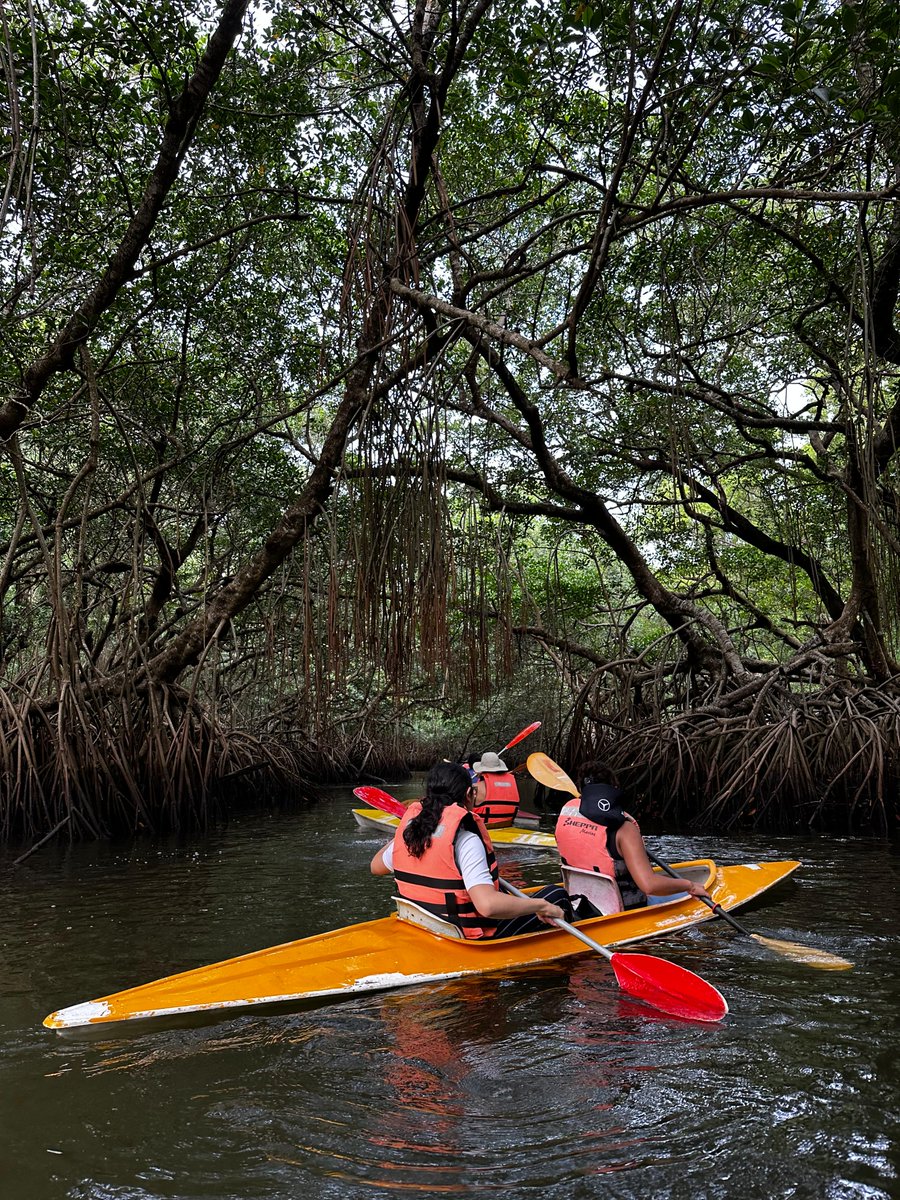 #Podcast 🎧
#ElShowDeLaTierra 🌎 
Tema: XXVI Festival de las Aves y Humedales.
👉 soundcloud.com/radiomasrtv/el…