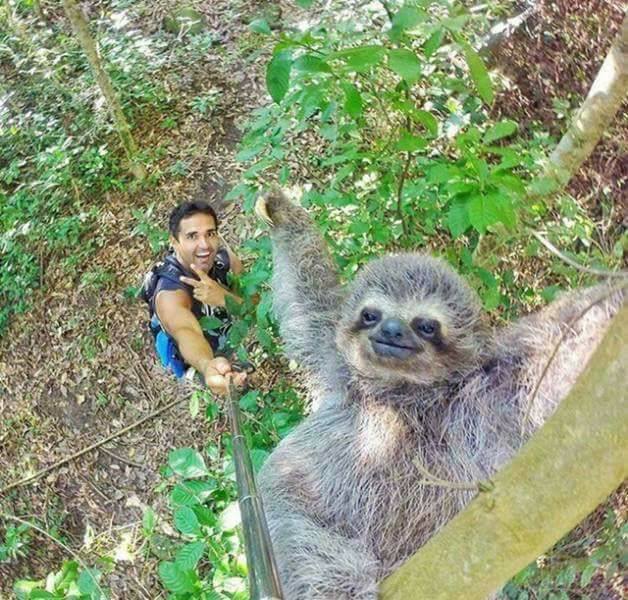 antalyagercek07's tweet photo. Tüm zamanların en güzel selfiesi bu olabilir... https://t.co/ArAqq8jbIj