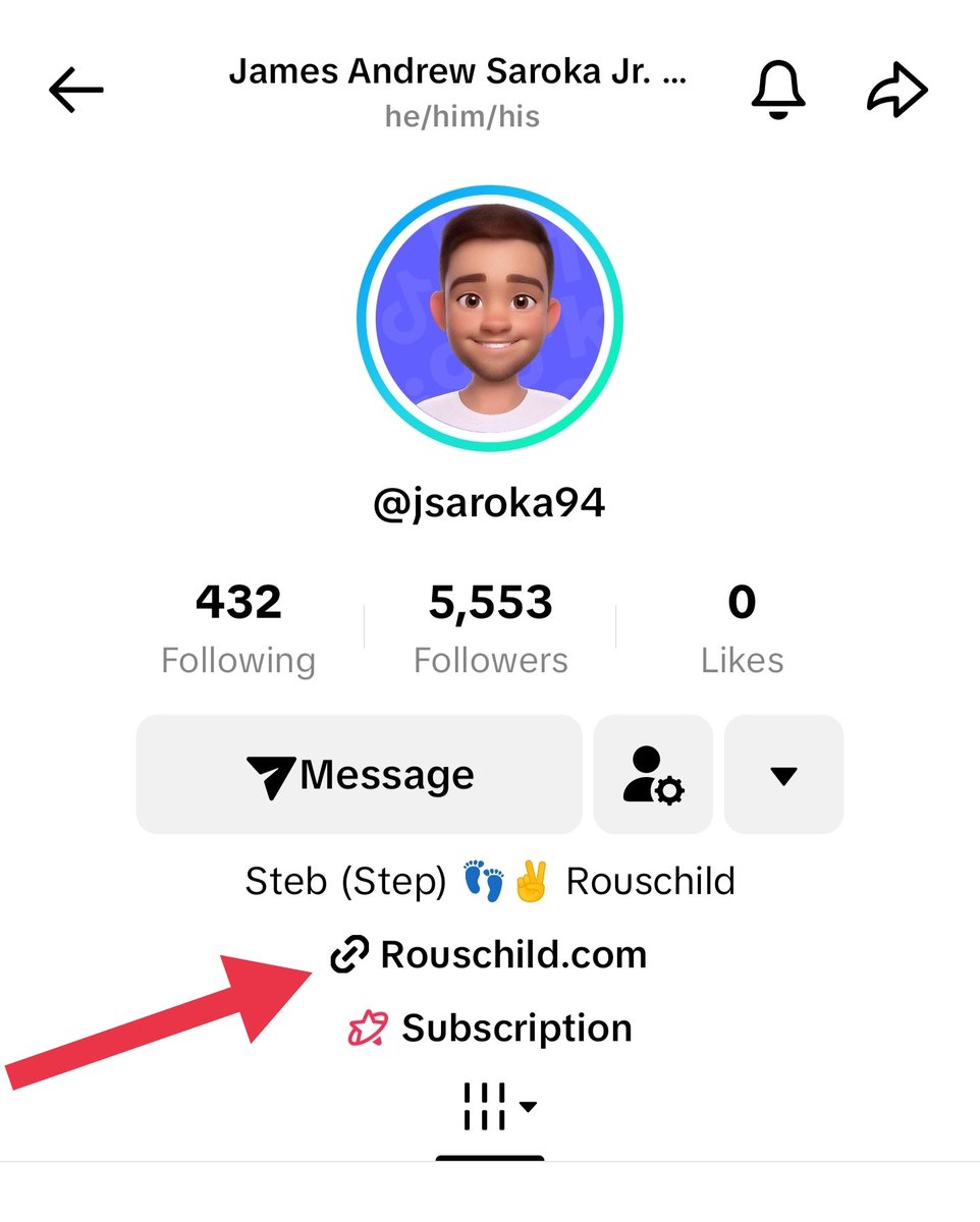Damaz_Chinaz's tweet photo. Some activity from Jimmy, he recently added a link to his Rouschild Shopify store which hasn't opened yet.  And in his TikTok story section he posted a dollar sign 💲. https://t.co/aknhp5jJI4