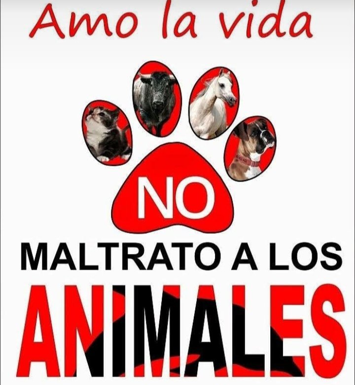 ma34023's tweet photo. Cada vez el mundo está peor animales brutalmente asesinados 🐕❌❌ https://t.co/ze0SnP7fPJ
