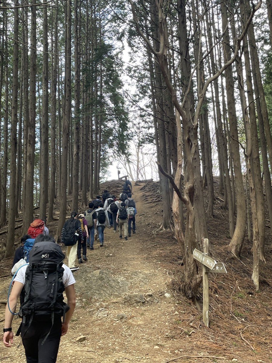 TWVjp's tweet photo. 4/12(土)に第2回新歓ハイク伊豆ヶ岳を行いました！たくさんの新入生の方に参加していただき交流を深めました！サクラやミツマタなども見頃で新入生の方には自然を満喫していただけたと思います！
#春から東大
#東大
#東大ワンゲル
#twv
#伊豆ヶ岳 https://t.co/y7aXd6byOH