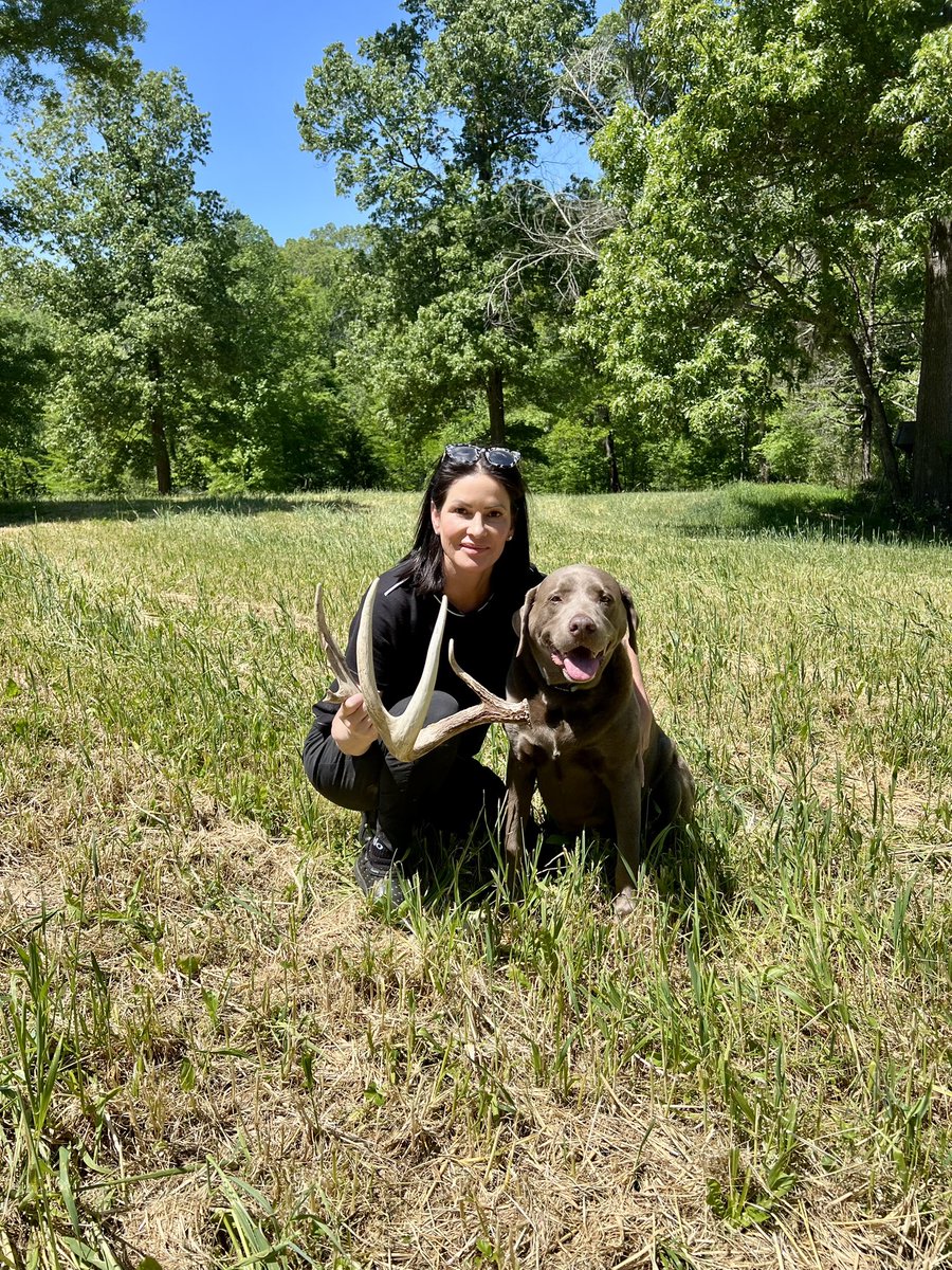 realbenmcdonald's tweet photo. Yep…..guess who had the lucky 🍀today….not 1 but 2 big #sheds for #nsmcdonald and #jeterthesilverlab #whatgetsyououtdoors #shedhunting #farmlife #shedlife https://t.co/cVdCaDZC5p