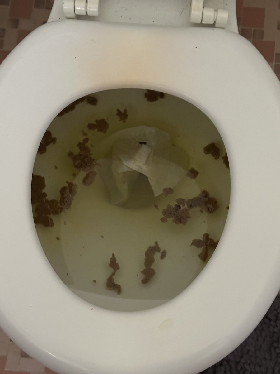 Nick_Barnes's tweet image. Get caught up with my day #thepot #toolfans