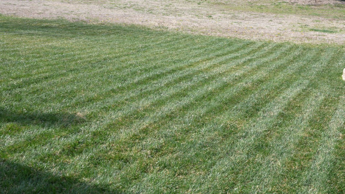 Byte My Bits tweet media