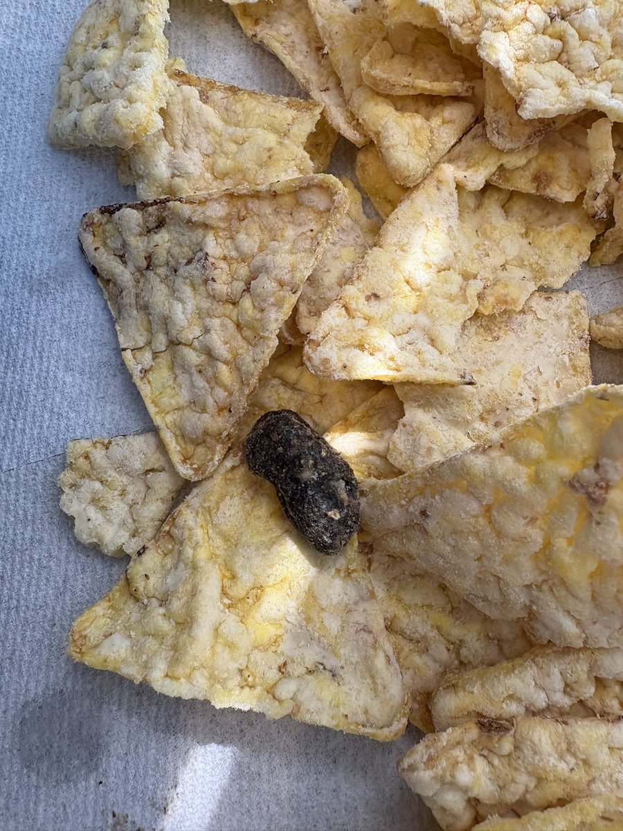 TDMovieDude's tweet photo. @popcorners what hell is this in my bag??? https://t.co/VRSlM2yQ8o