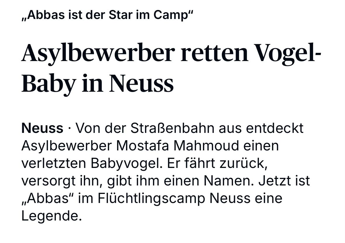 Das ist sooo schön 🥹

Gänsehaut