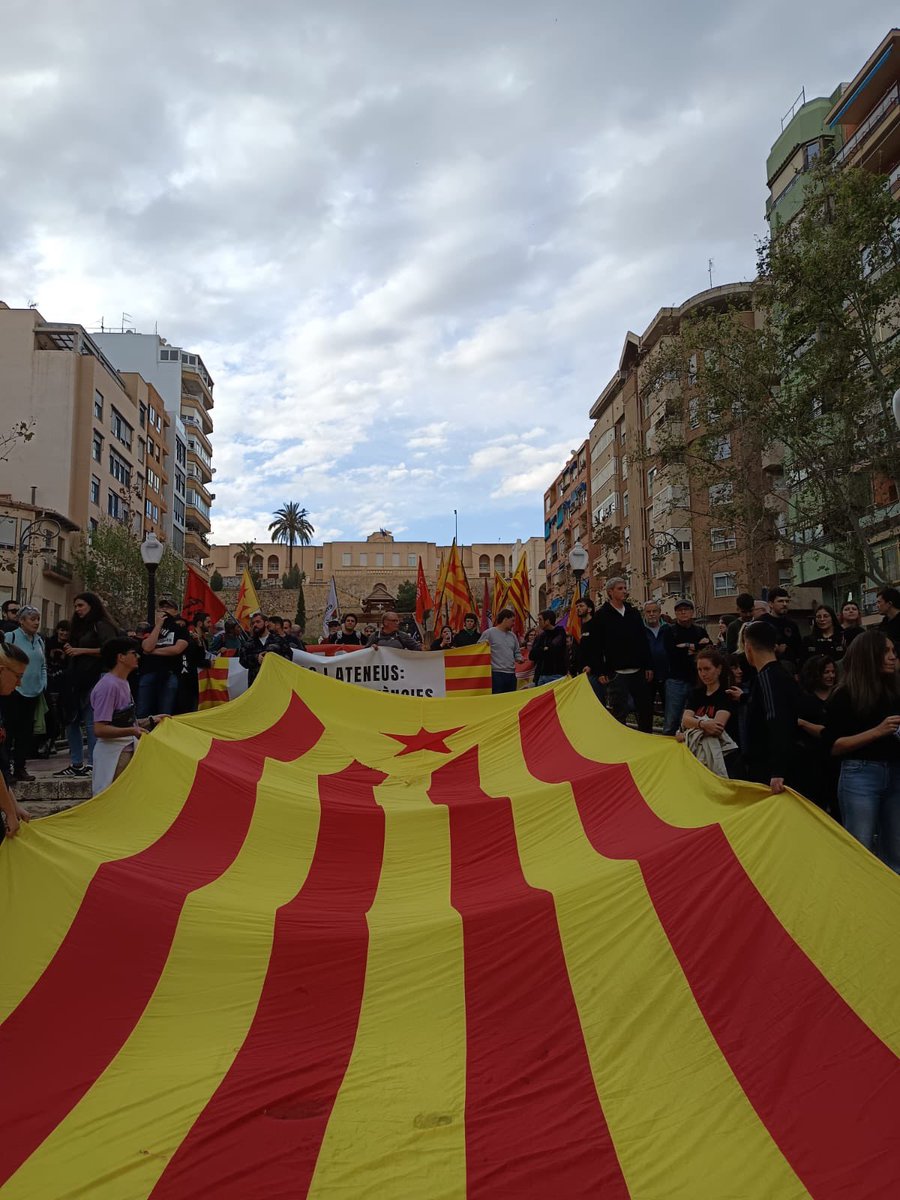 jordigaseni tweet media