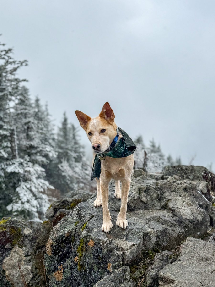 touch grass, touch snow, touch rock, touch it all on one hike