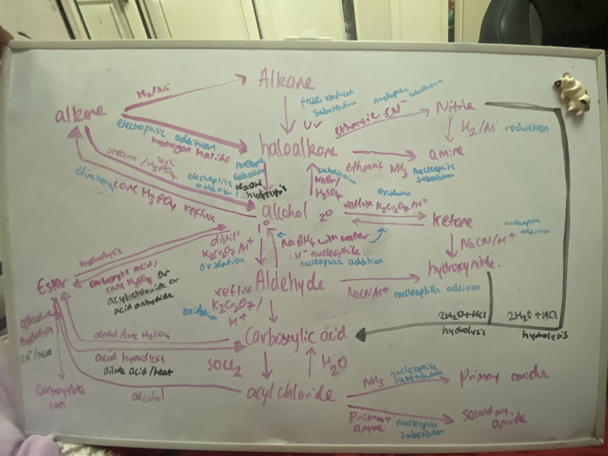 hachinanas's tweet photo. i stole mei's revision technique☝️☝️but omg hydrolysis is the only thing i can NEVER remember all the stuff in black is everything i forgot https://t.co/nlTcfbcEbj