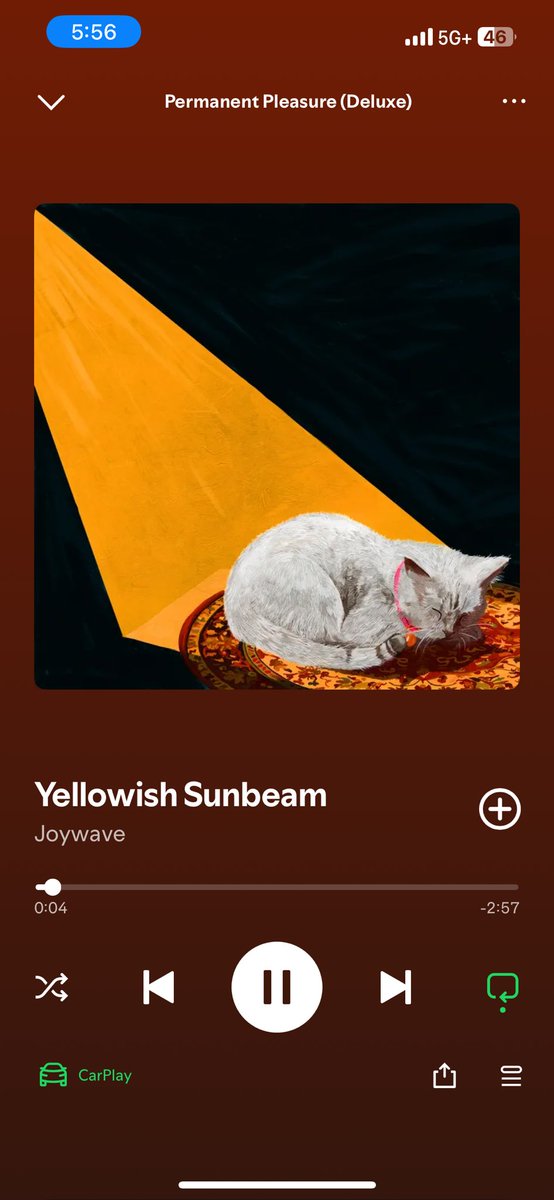 marcy channeling album art for the <a href="/joywave/">Joywave</a> permanent pleasure deluxe drop :}