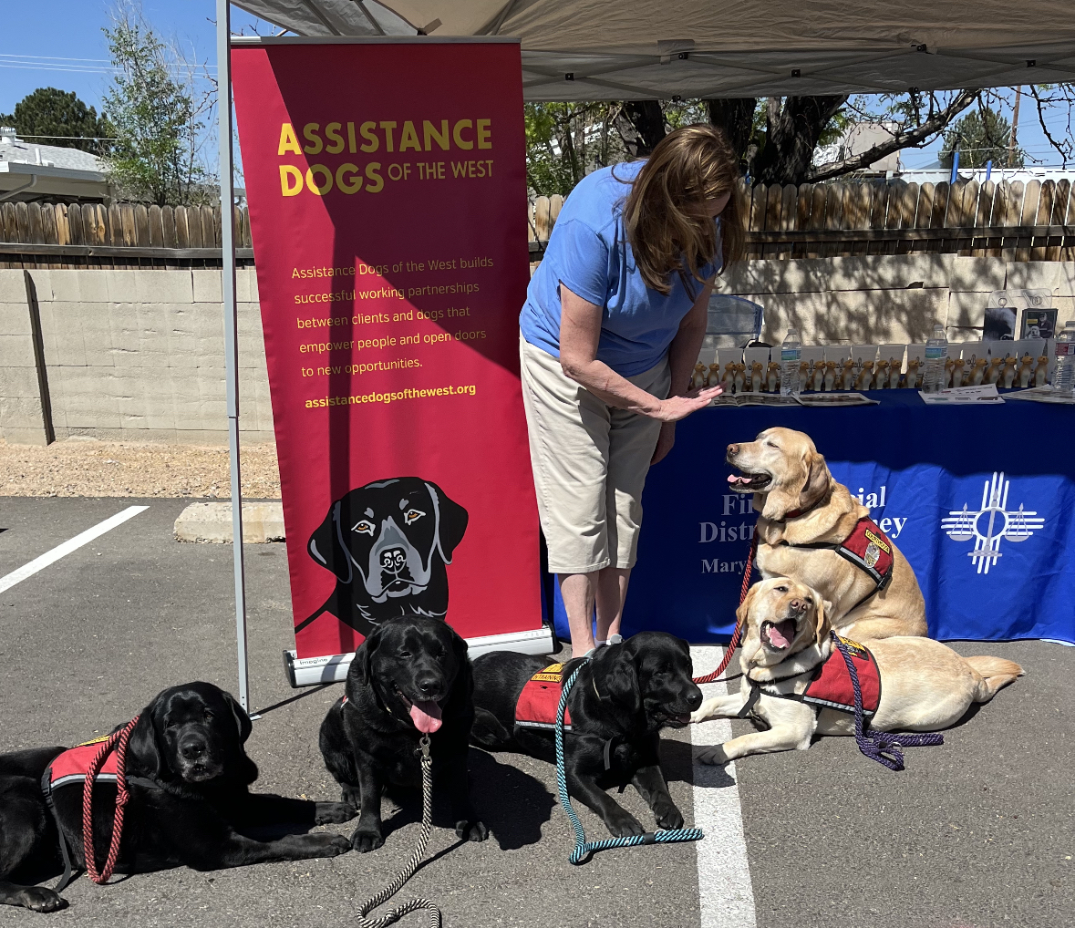 BerncoDa's tweet photo. HONORING DWI VICTIMS, THEIR FAMILIES, AND THE COMMUNITY SUPPORTING THEM - 
Today MADD New Mexico and the Bernalillo County District Attorney’s Office hosted the 3rd Annual Spring Picnic. 
Thank you to everyone who participated! 
#EndDWI https://t.co/WA1DN3Fs9K