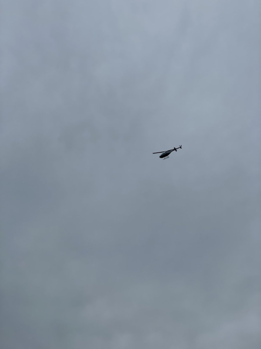 Spot of gardening in sunny Fence and <a href="/FishwickDavid/">Bank on Dave</a> buzzes over on his way home.