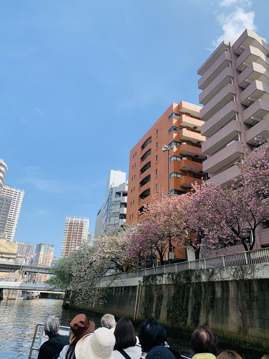 hiro_rin16's tweet photo. 4月12日（土）
目黒川お花見クルーズ🌸
ギリギリお花見間に合ったー😍
川沿いでお花見している多くの方々と笑顔で手を振り合う光景、素敵な時間でした☺️ https://t.co/i5iwXkawRA