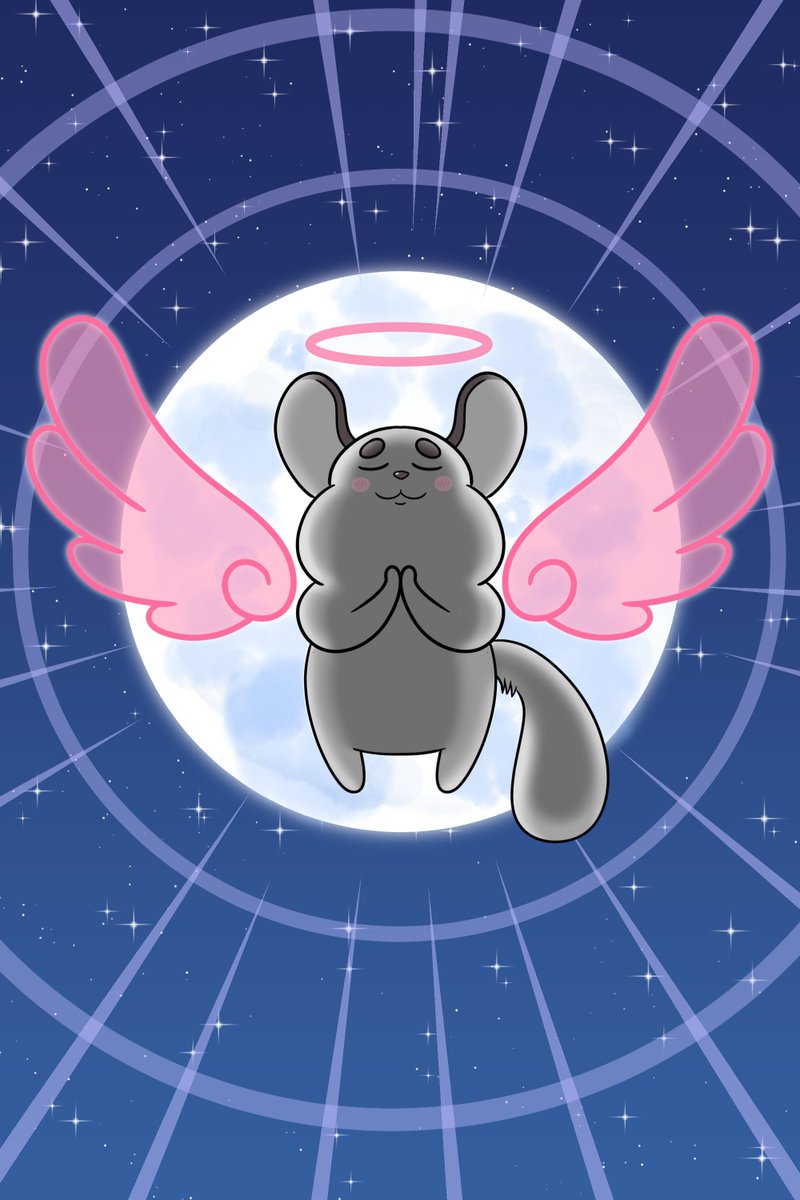 DCEroSenpai's tweet photo. Que esta chinchilla angelical te traiga paz y armonía por que a mi no me la trae !  waaaaa  aun no termino de editar las fotos (llora en fotógrafo) https://t.co/1Tf3AeX7yu