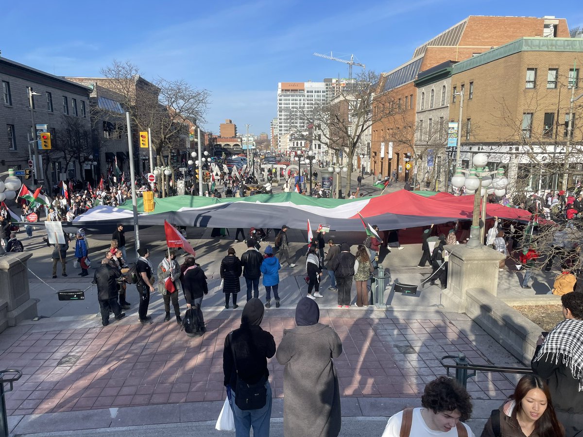 Free Palestine.