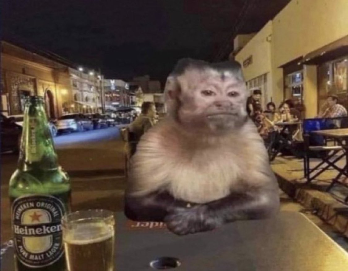 aaaaarchives's tweet photo. monkey at a bar with a beer side eye reaction pic https://t.co/kIbM1ubHnv