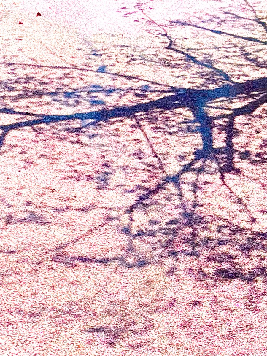 花筏🌸

哲学の道 (京都)

素敵な休日をお過ごし下さいませ✨

📸2025/4