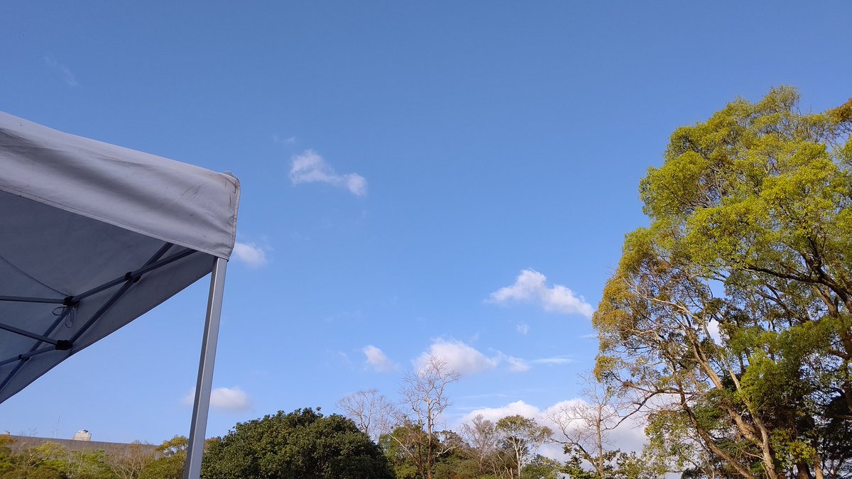 日曜日 Day2
今朝方までの猛烈な土砂降りの影響
水溜まり、枯れ葉の大群
しかし青空
タイヤ選択が難しい
クルーはノートの最終読み合わせ
サービス隊はこの後サービスCです

49号車  日産自動車大学校ラリーチーム
応援よろしくお願いします。
#全日本ラリー #ツール・ド・九州 #日産 #マーチ #forvia