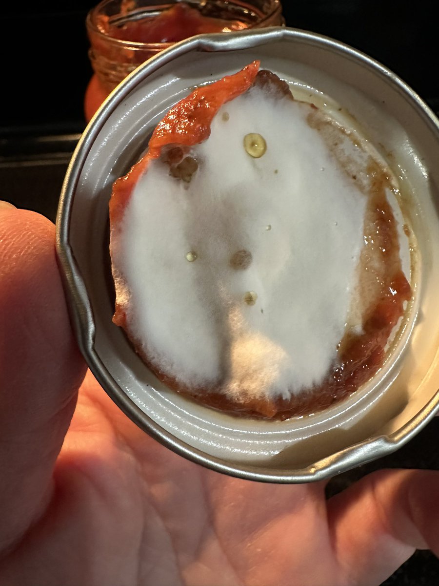 MrsWilson71's tweet photo. What is going on with the food industry? We make pizza once a week…this is tonight’s brand new can of sauce I just opened and the other photo was last week’s dough problem. Gross 🤢 https://t.co/br2Fabfgiq