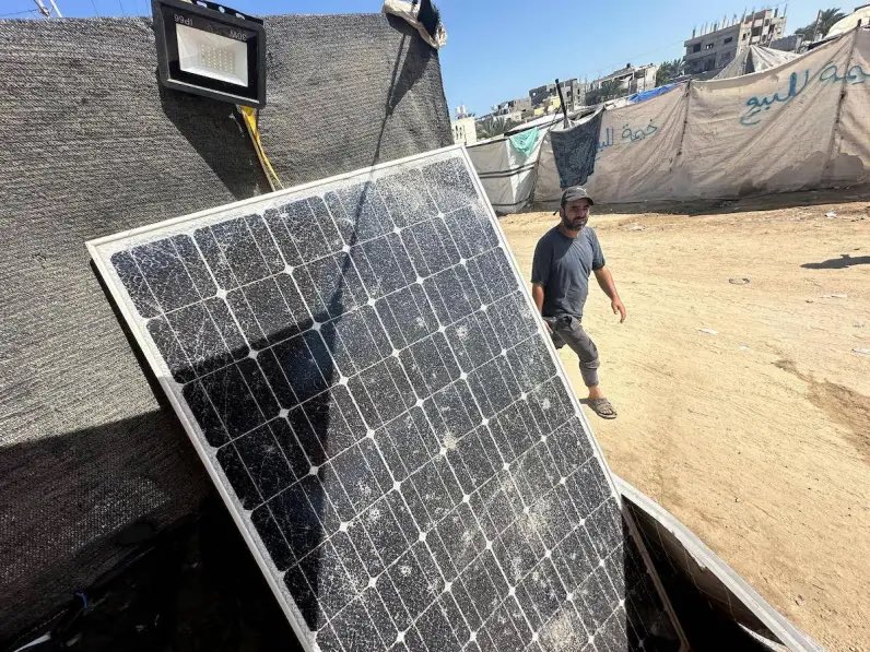 Drop Site tweet media