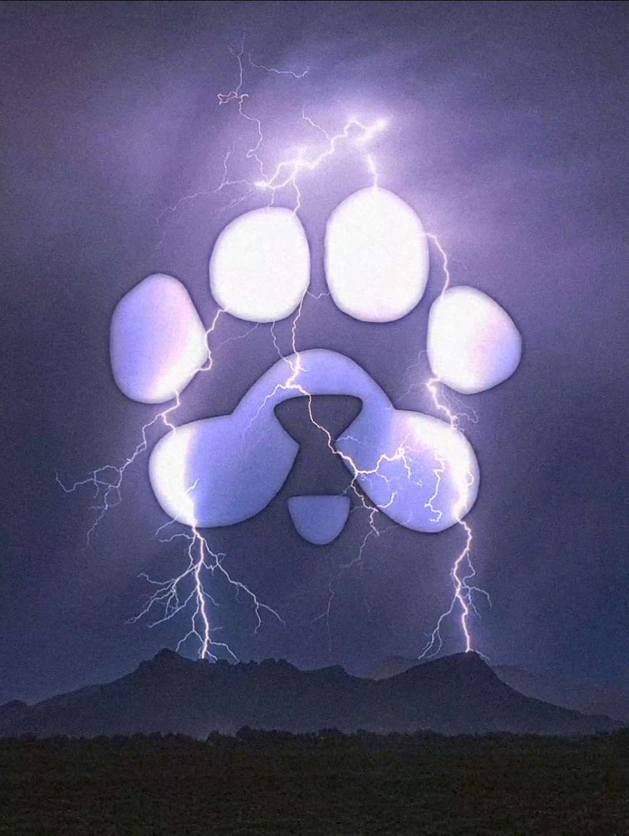 TheusXL_'s tweet photo. 🐾 $PAWS blends tech and passion for decentralization! A step forward in crypto. 
@VitalikButerin @APompliano @aantonop @ErikVoorhees @laurashin 
how about joining us to dive into $PAWS? The future is now! #PAWS https://t.co/hKhjB0wJP5