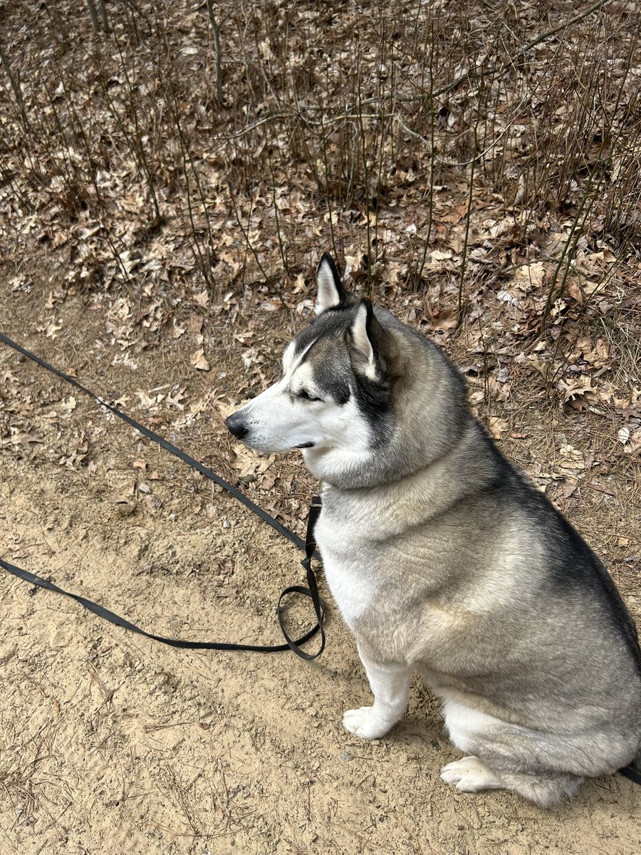 A beautiful Saturday stroll!