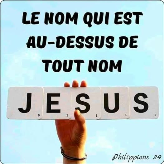 docmanoto's tweet photo. Alléluia ! https://t.co/oHeiieOMFQ