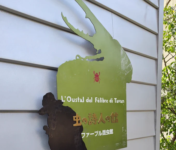 昨日、千駄木のファーブル昆虫館に行きました🐞
※土日のみ開館
小さめながらも展示品や生きてる昆虫もあり、なかなか面白かったです。しかも無料ッ!

中学生くらいのスタッフさんもいたのですが丁寧な上に気も利くし優秀でした…α世代っていうの?こんな若いのに大人すぎる
https://t.co/f46VzwA7Qh 