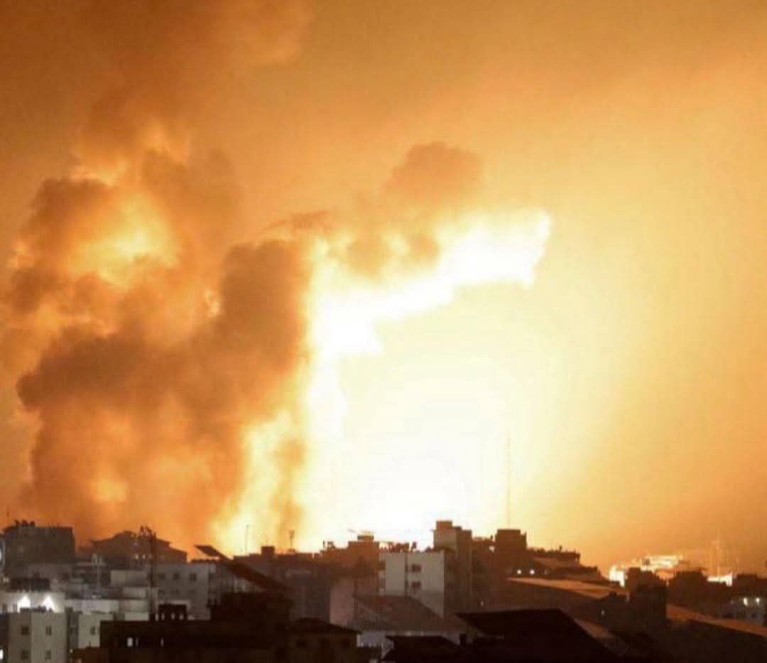 Free Gaza 🇵🇸 tweet media