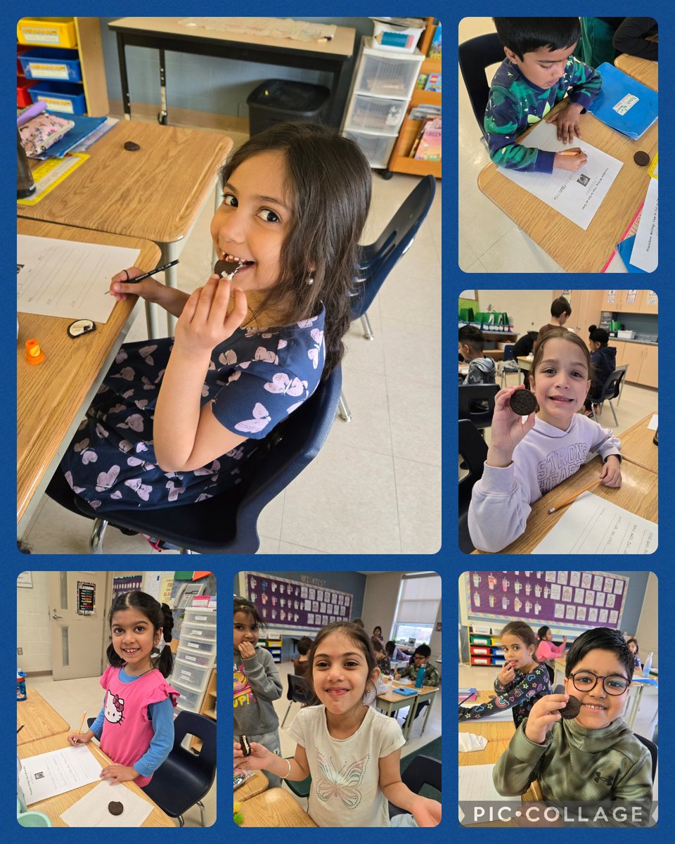 Ms. Macchione tweet media
