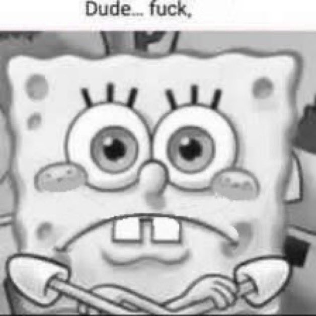 FalkeWings's tweet photo. Depending on how Falke’s feeling the entire facility gets one of these images of SpongeBob vaguely transmitted to them https://t.co/4vH9hrXvsX