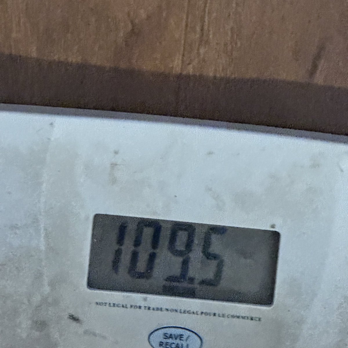 number1anafan's tweet photo. I just hit one of my goal weights. I can’t believe this what am I supposed to do now 😭 https://t.co/6Pwqdk7WE9
