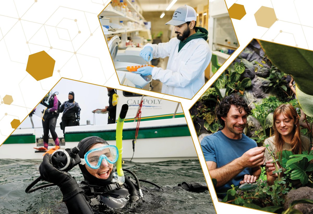 You have raised $33,900 for our students so far!
A huge thank you to all of our donors for their support and commitment to #learnbydoing. Let's finish #polygives strong, there's still time to make a donation here: bit.ly/3RcQVnx